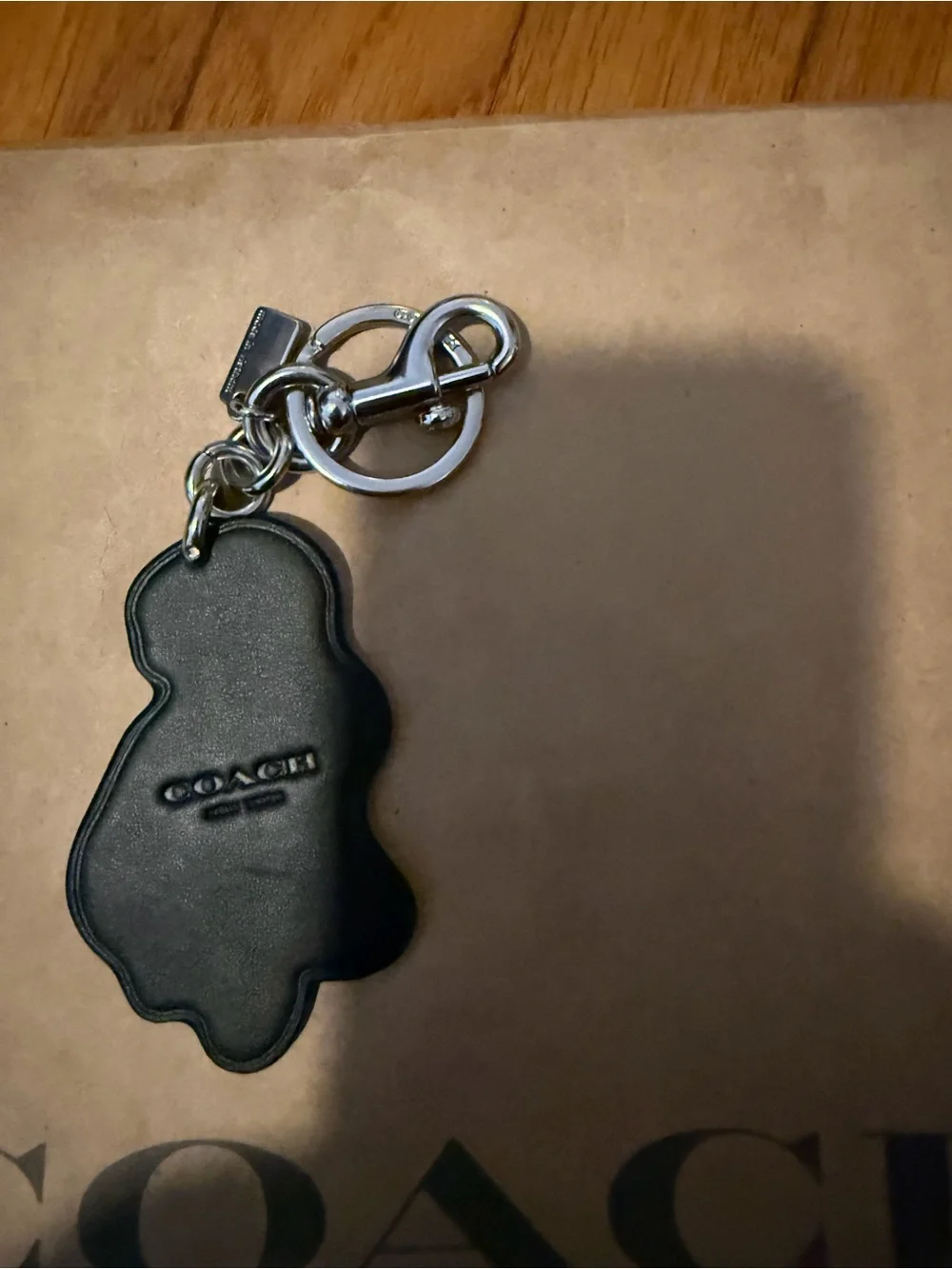 Green Dinosaur Reptile Keychain for Pets & Reptile Lovers